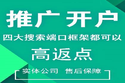竞价广告赚钱案例：从新手到专家